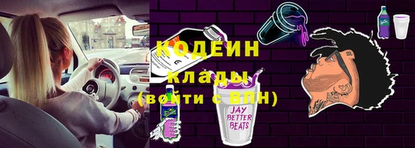 прущие грибы Горняк
