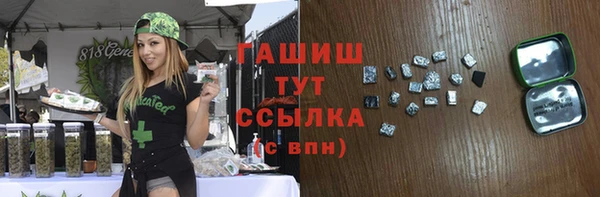 прущие грибы Горняк