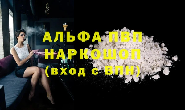 прущие грибы Горняк