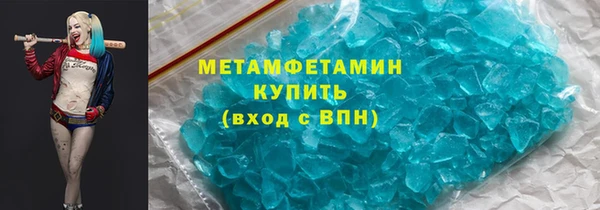 прущие грибы Горняк