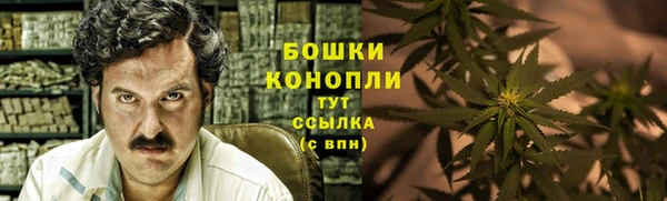 прущие грибы Горняк