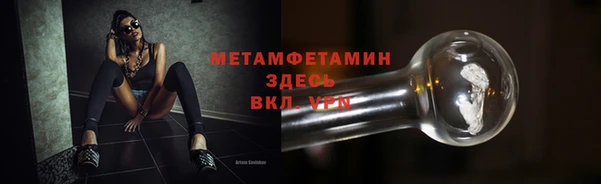 прущие грибы Горняк