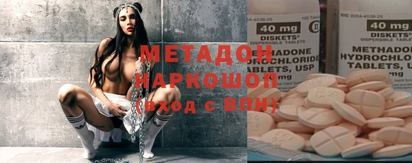 прущие грибы Горняк
